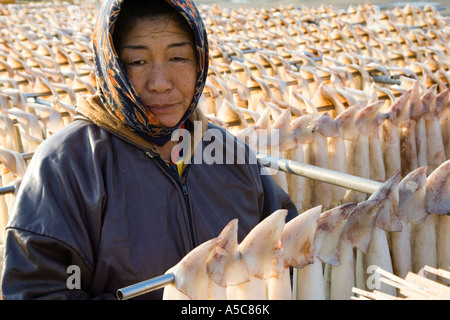 Donne appeso seppie sui graticci di Sokcho Corea del Sud Foto Stock