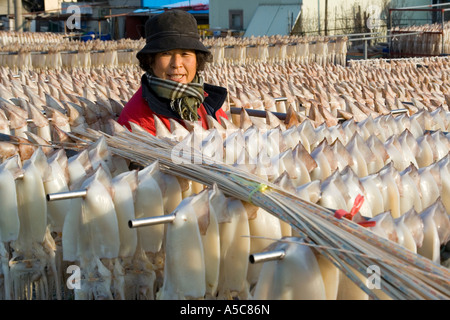 Donne appeso seppie sui graticci di Sokcho Corea del Sud Foto Stock