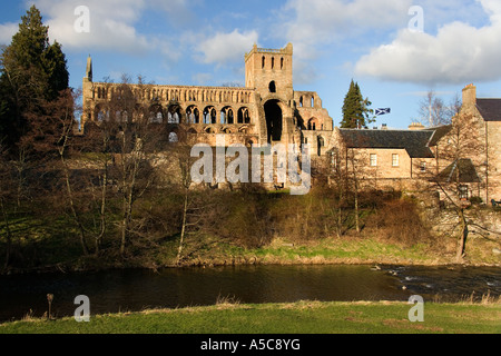 Rovine di Jedburgh Abbey a Scottish Borders città di Jedburgh nel sud est della Scozia Foto Stock