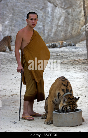 Tiger tempio vicino a Kanchanaburi Thailandia Foto Stock