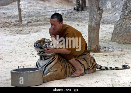 Tiger tempio vicino a Kanchanaburi Thailandia Foto Stock