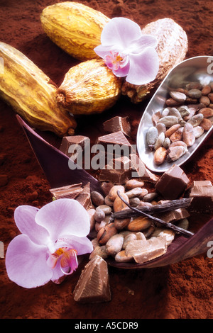 Cacao, raccolto, semi e cioccolato, vista in elevazione Foto Stock