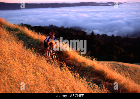 Giovani femmine mountain bike in santa cruz mountains modello rilasciato image Foto Stock