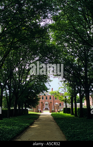 Carolina del Nord New Bern Tryon Palace Sito Storico e giardini palazzo Georgiano tree allee Foto Stock