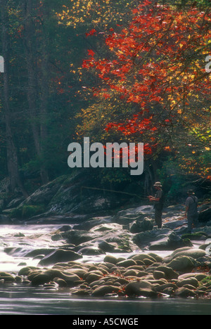 Pesca alla trota nel polo centrale della Little Pigeon River Great Smoky Mountains National Park Tennessee Foto Stock