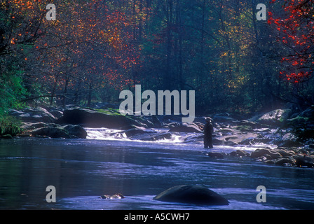 Pesca alla trota nel polo centrale della Little Pigeon River Great Smoky Mountains National Park Tennessee Foto Stock