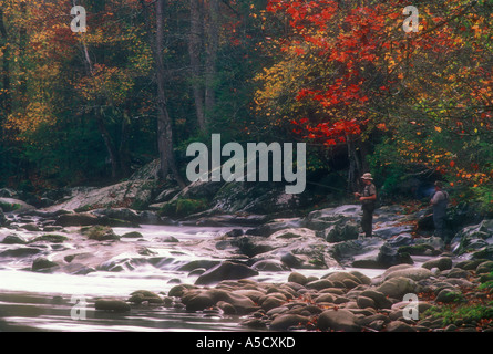 Pesca alla trota nel polo centrale della Little Pigeon River. Parco Nazionale di Great Smoky Mountains TN Foto Stock