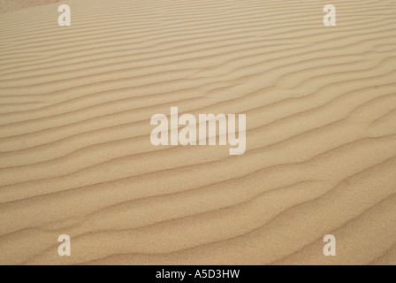 Monahans Sandhills dune in West Texas Foto Stock