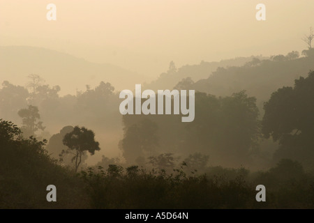 Foschia mattutina in Eastern Ghats dell Orissa.India Foto Stock