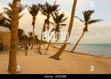 Palme sulla spiaggia Smathers al tramonto a Key West Florida Foto Stock