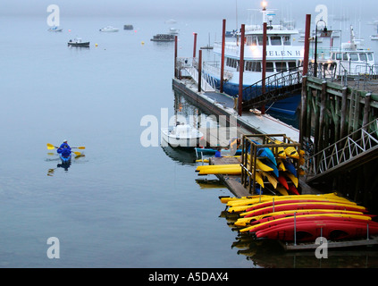 Fare kayak in Bar Harbor, Maine Foto Stock