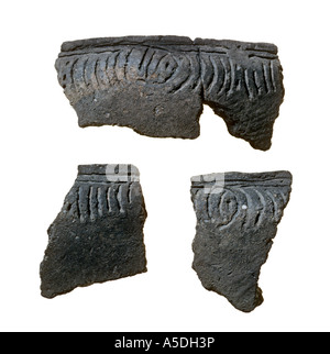 Incisi American Indian ceramiche trovato in scavi archeologici nel sud-est USA Foto Stock