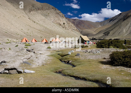 Campo in tenda durante il trekking nella regione himalayana del Ladakh, India. Foto Stock