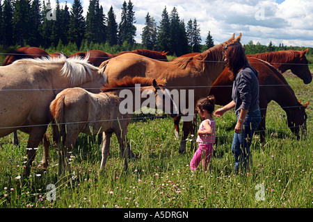 Al Ranch 2 Foto Stock