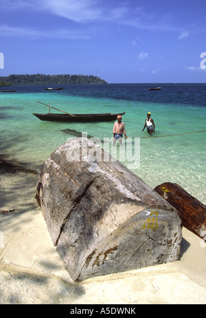 India Isole Andaman Havelock Vijayanagar numero uno del villaggio di latifoglie forestali log sulla spiaggia Foto Stock