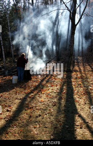 Fiery ombre masterizzazione: un basso sole proietta ombre sulla foglia coperto forest floor il fumo aumenta da un incendio e crea più ombre Foto Stock