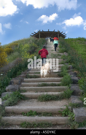 Scala verso il cielo - bambini e un cane corre su scala esterna Foto Stock