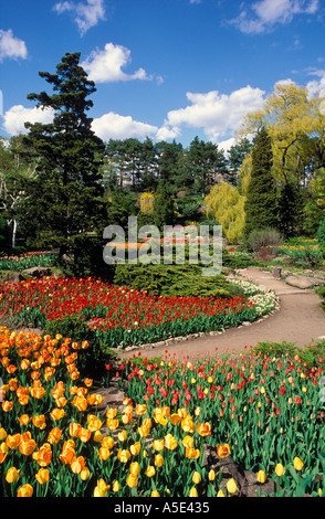 Canada Ontario Burlington Royal Botanical Gardens in primavera con i tulipani in fiore Foto Stock