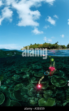 A livello diviso foto di una ragazza di immersioni sulle Maldive Foto Stock