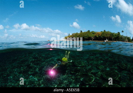 A livello diviso foto di una ragazza di immersioni sulle Maldive Foto Stock