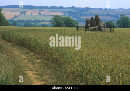 Whispering Cavalieri un gruppo di pietre in piedi in un campo nei pressi di Rollright Stones Oxfordshire Foto Stock