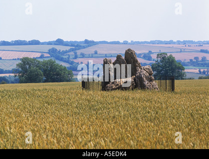 Whispering Cavalieri un gruppo di pietre in piedi in un campo nei pressi di Rollright Stones Oxfordshire Foto Stock