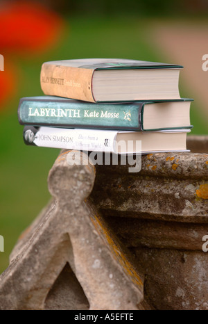 Il libro lo schema di caduta a Cheltenham festival letterario REGNO UNITO Foto Stock