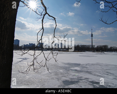 Ghiaccio sul canal Alte Donau Foto Stock