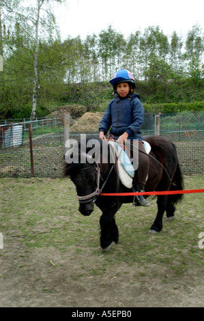 Ragazza nera con pony Shetland imparare a guidare Foto Stock