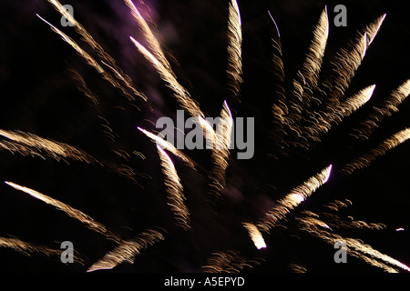 Fuochi d'artificio dinamici che attraversano il cielo notturno. Foto Stock