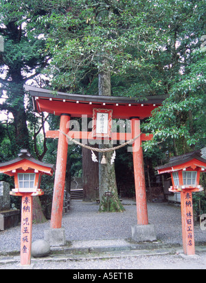 Tori gate al sacro ceder tree, . Shiiba, Kyushu in Giappone. Foto Stock