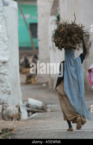 Harar, Etiopia, donna con un fascio di legno sulla sua testa Foto Stock