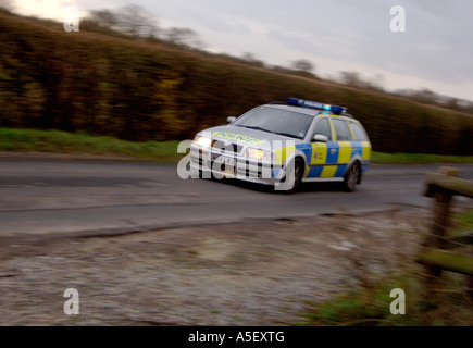 Auto della Polizia gare di emergenza con luci lampeggianti Foto Stock