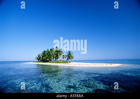 Piccola isola tropicale con palme all'orizzonte in Belize America Centrale Caraibi Foto Stock