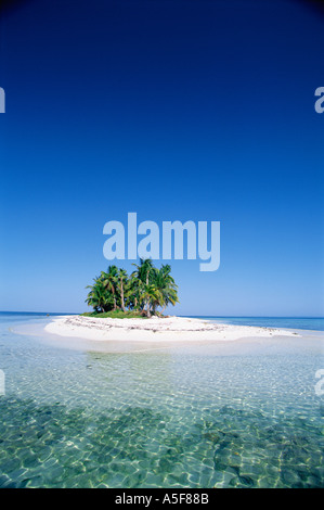 Piccola isola tropicale con palme all'orizzonte in Belize America Centrale Caraibi Foto Stock