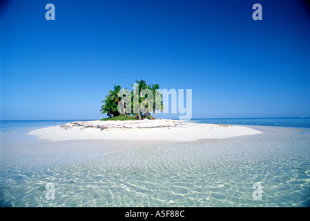 Piccola isola tropicale con palme all'orizzonte in Belize America Centrale Caraibi Foto Stock