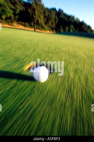 Pallina da golf che rotola vicino alla tazza. Foto Stock