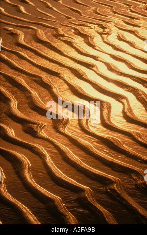 RIPPLES IN SABBIA al tramonto, Swansea Bay, South wales, Regno Unito Foto Stock