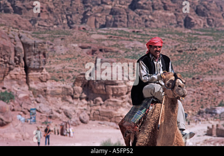 Addomesticazione cammelli forniscono un insolito modo di trasporto Bedouin camel rider indossando una keffiyah Petra Giordania Medio Oriente Foto Stock