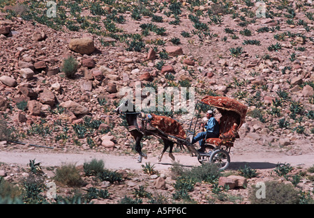 Cavallo e carri di fornire una modalità alternativa di trasporto su ruote intorno alle rovine di Petra Giordania Foto Stock