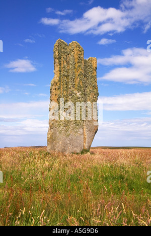 dh Stone of Setter EDAY ORKNEY Neolitico pietra in piedi unica età bronzo uk preistoria