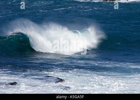 Dh costa nord BIRSAY ORKNEY navigare in mare di onde che si infrangono sulla riva Foto Stock