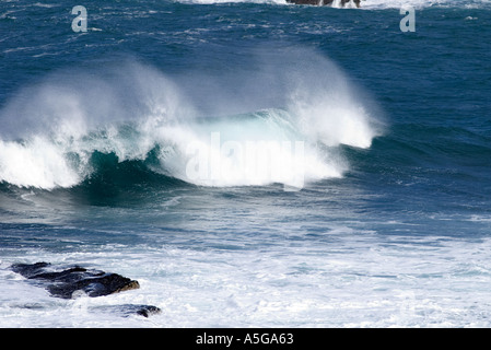 dh North Coast BIRSAY ORKNEY Surf mare onde infrangere rulli shore power spray primo piano crash big wave scozia Foto Stock