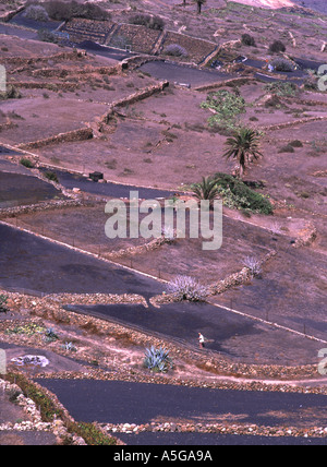 Dh MIRADOR DE Haria Lanzarote imprenditore nel campo della collina a rastrellare la massa Foto Stock