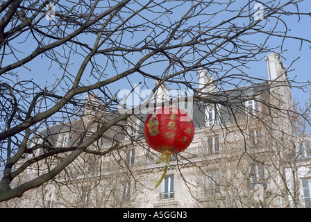 Una lanterna cinese adorna di un albero davanti al municipio il nuovo anno cinese giorno Foto Stock