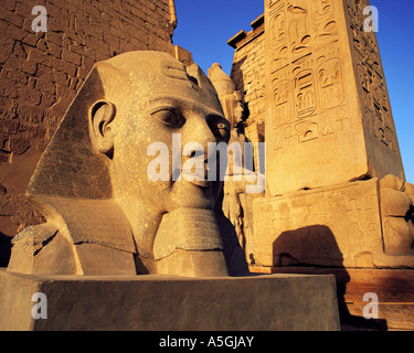 Testa intagliata del re Ramses II in inizio di mattina di sole, EGITTO Luxor Foto Stock