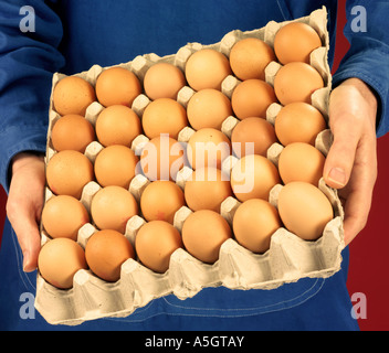 L'uomo tenendo il vassoio di uova Foto Stock