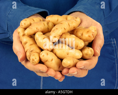 Uomo con ANYA PATATE Foto Stock