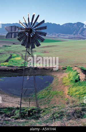 Mulino a vento pompa ad acqua azionata da un riempimento di una piccola diga in paese collinoso di Langeberge Provincia del Capo Sud Africa Foto Stock