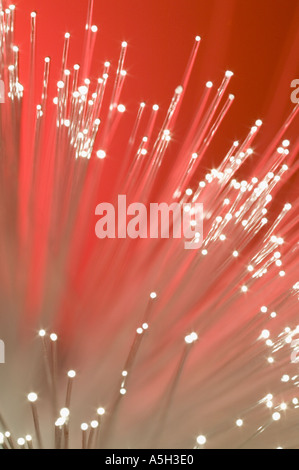 Un fascio di fibre di cavi ottici Foto Stock
